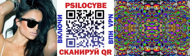 Купить  Сочи  Псилоцибиновые грибы MAGIC MUSHROOMS 